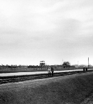 Anciens voyages d'étude à Auschwitz-Birkenau